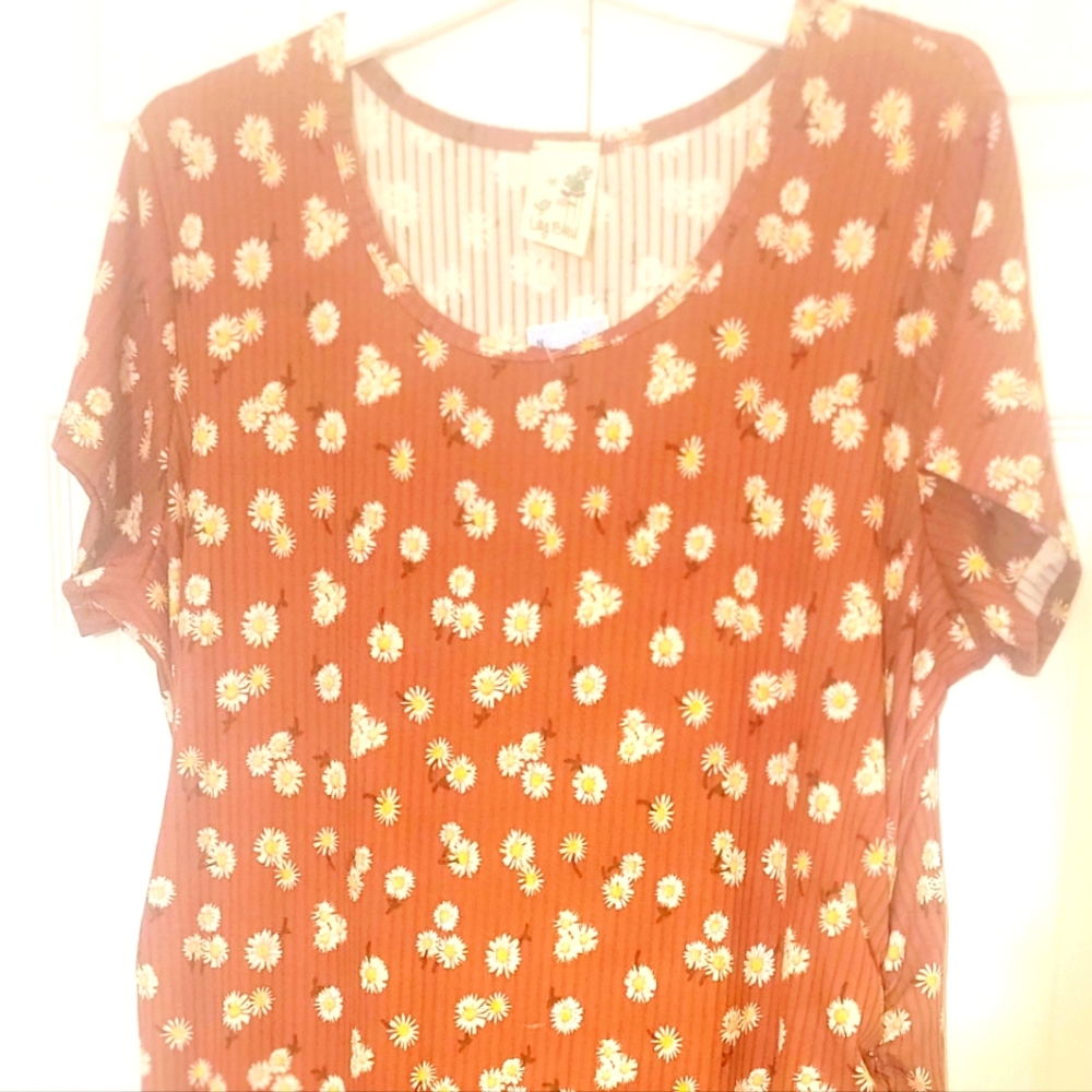 Lili Blue Daisy Dress Brown 2X